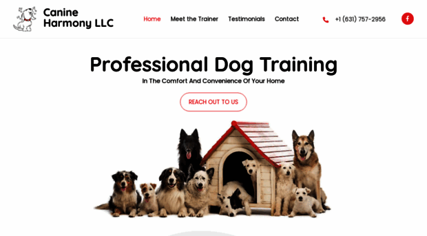 canineharmonydogtraining.com