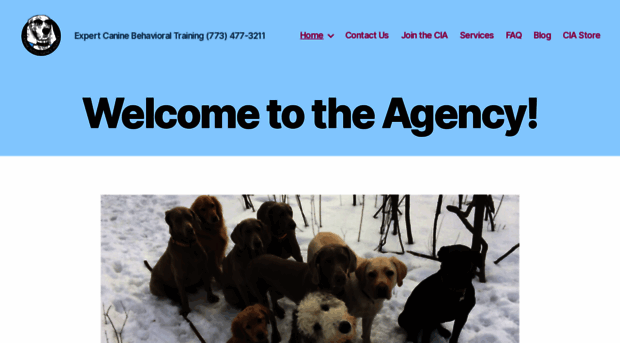 canineintelligenceagency.com