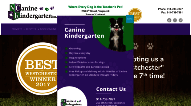 caninekindergarten.com