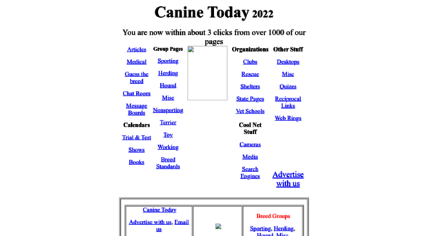 caninetoday.com