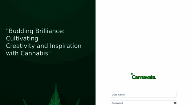 cannavate-admin-fullstack.vercel.app