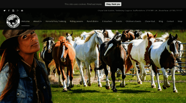 cannockchasehorsetrekking.com