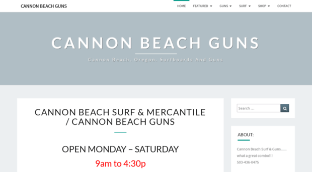 cannonbeachsurf.com