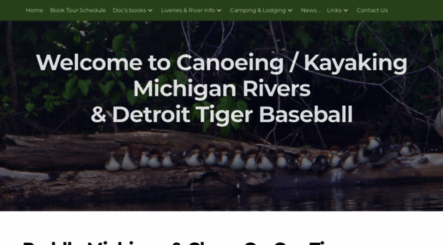 canoeingmichiganrivers.com