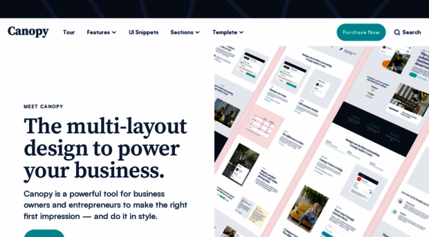 canopy-multilayout-template.webflow.io