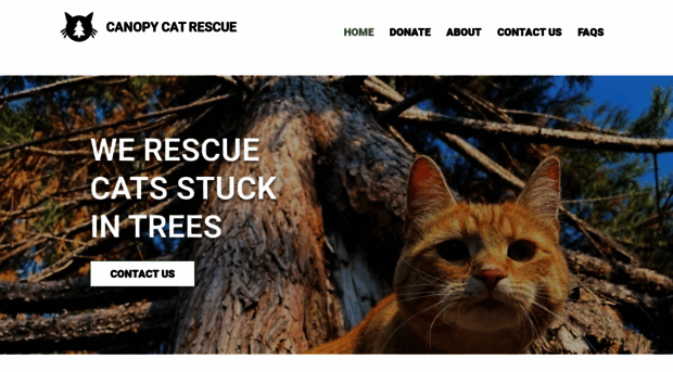 canopycatrescue.com