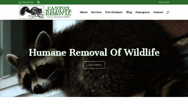 cantonwildliferemoval.com