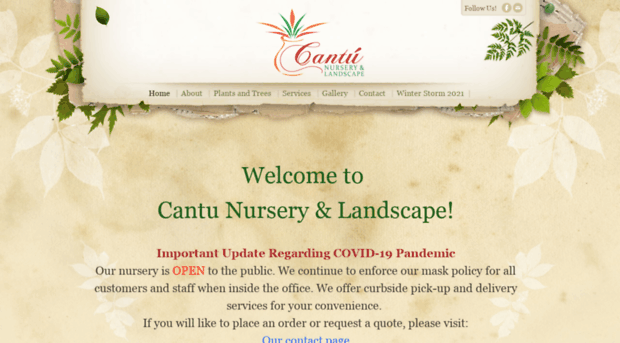 cantuimports.com