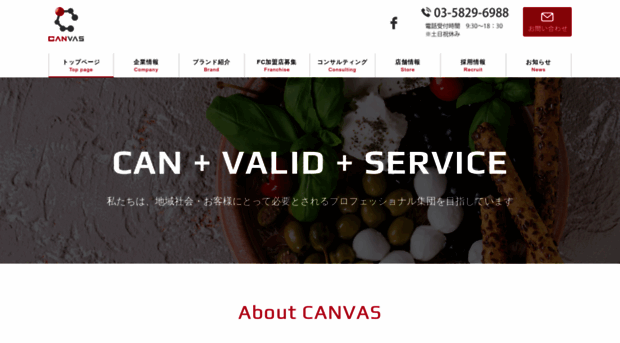 canvas2011.com