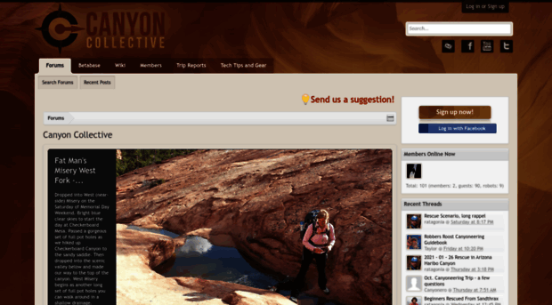 canyoncollective.com