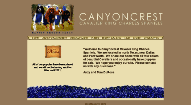 canyoncrestcavalierspaniels.com