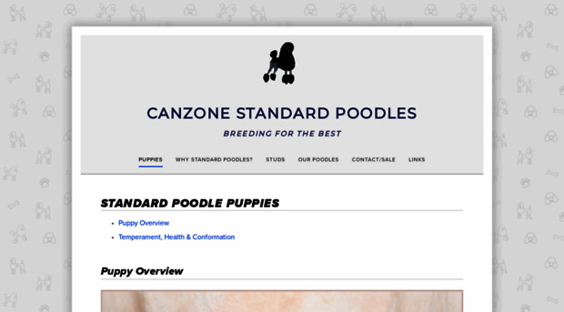 canzonestandardpoodles.com