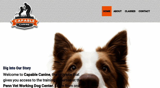 capable-canine.com