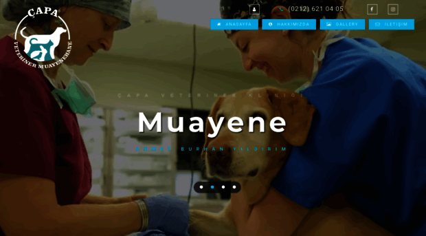 capaveterinerklinigi.com