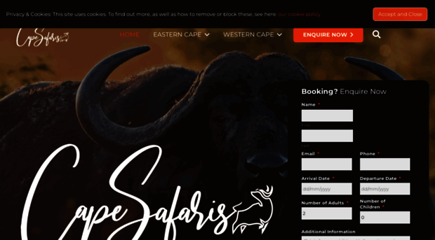 cape-safaris.com