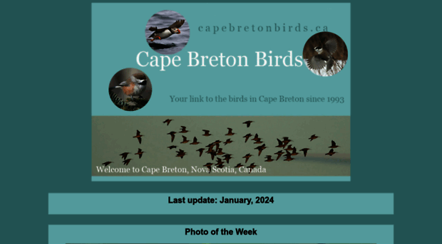 capebretonbirds.ca