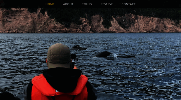 capebretonwhalewatching.com