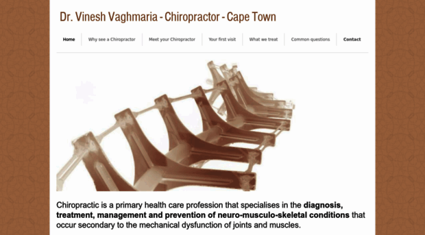 capechiropractic.co.za