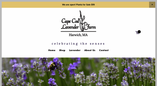 capecodlavenderfarm.com