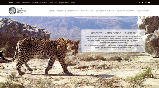 capeleopard.org.za