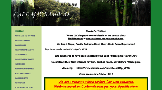 capemaybamboo.com