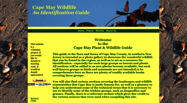 capemaywildlife.com