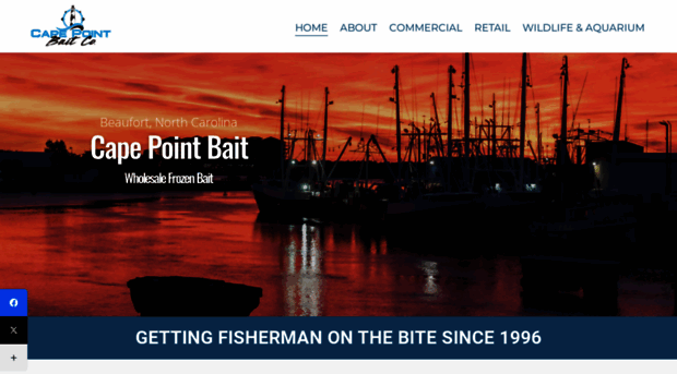 capepointbaits.com