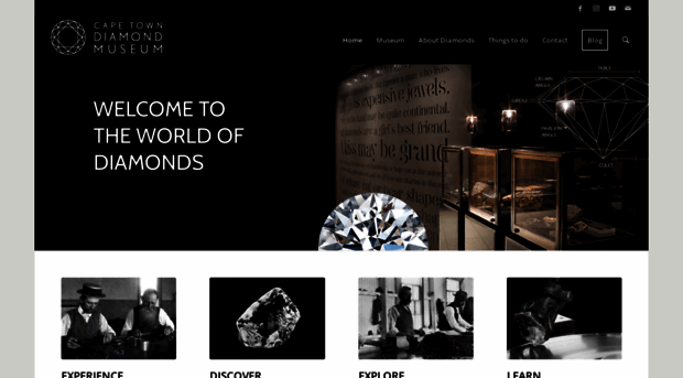 capetowndiamondmuseum.org