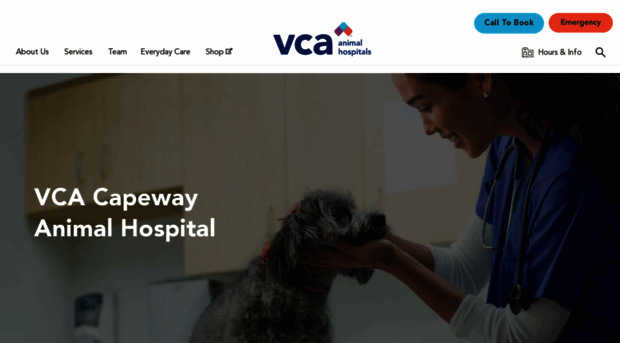 capewayvet.com