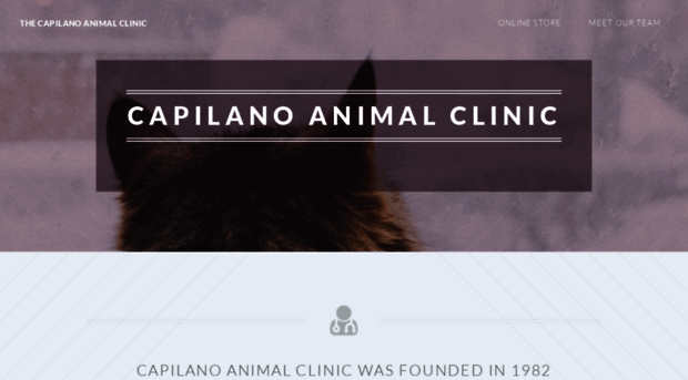 capilanoanimalclinic.com