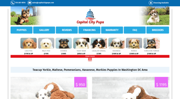 capitalcitypups.com