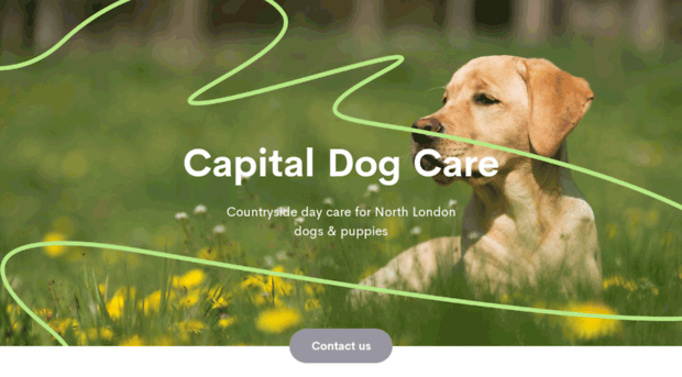 capitaldogcare.co.uk