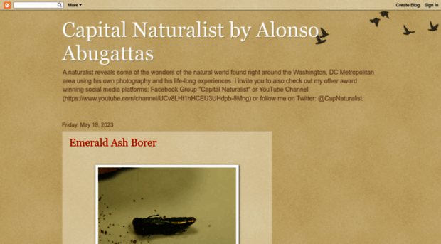 capitalnaturalist.blogspot.com