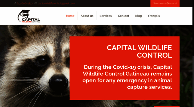 capitalwildlifecontrol.com