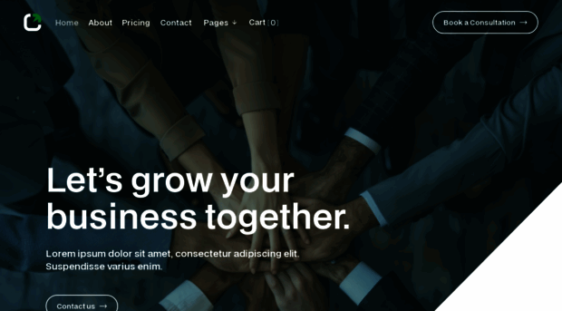 capitax-template.webflow.io