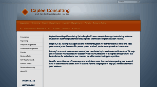 capleeconsulting.com