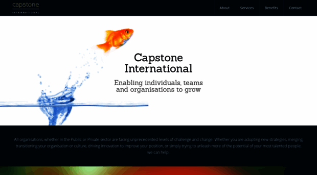 capstoneinternational.com