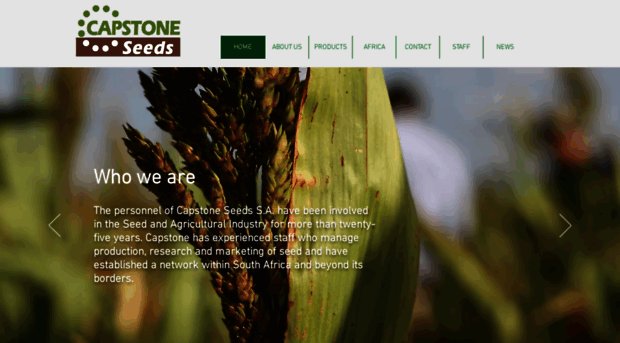 capstoneseeds.com