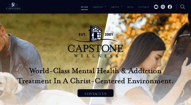 capstonewellness.com