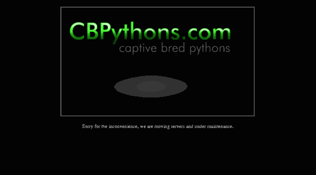 captivebredpythons.ca