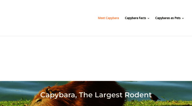 capybarafacts.com