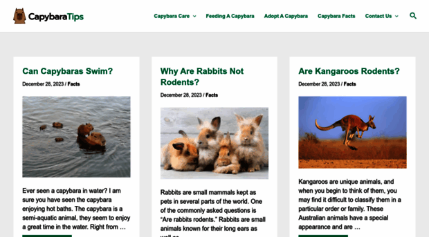 capybaratips.com