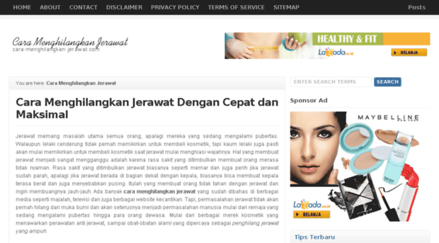 cara-menghilangkan-jerawat.com