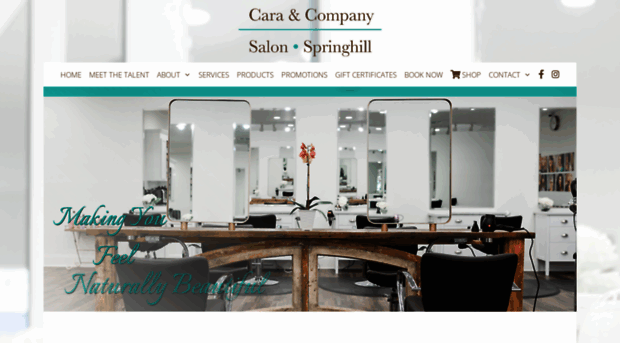 caraandcompanysalon.com