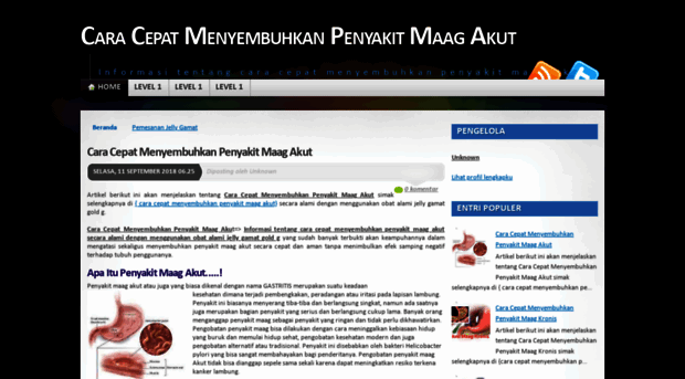 caracepatmenyembuhkanpenyakitmaagakut.blogspot.com