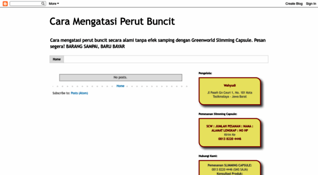 caramengatasi-perutbuncit.blogspot.com