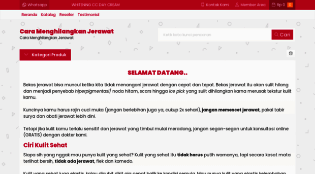 caramenghilangkanjerawat.com