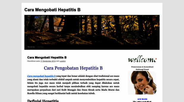 caramengobatihepatitis001.wordpress.com