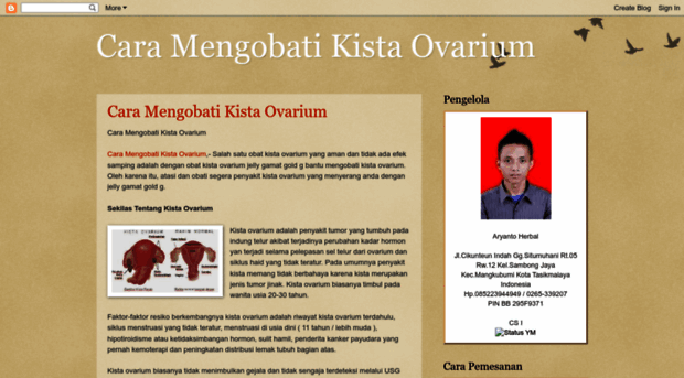 caramengobatikistaovarium.blogspot.com