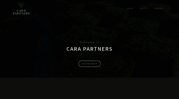 carapartners.ie